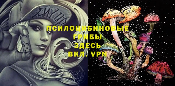 дурь Кулебаки