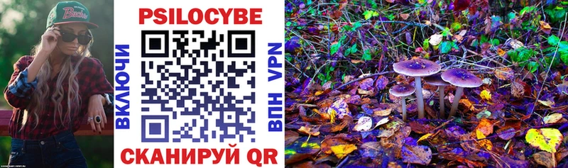 Купить закладки Котельниково Галлюциногенные грибы прущие грибы
